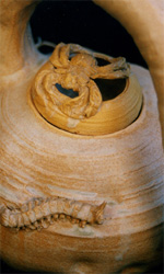 Чайник