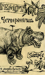 Энциклопедия: Бегемот
